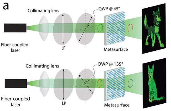 A single metasurface encodes two separate holograms. When illuminated with one direction of polarized light, the metasurface projects an image of a cartoon dog. When illuminated with the perpendicular direction of light, the metasurface projects an image of a cartoon cat.