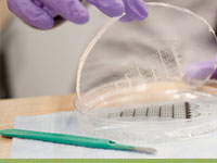 microfluidics lab