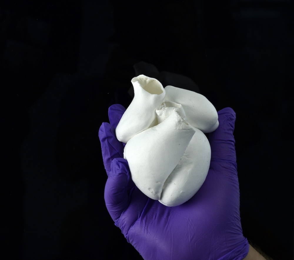 A major step forward for organ biofabrication - Vimarsana News