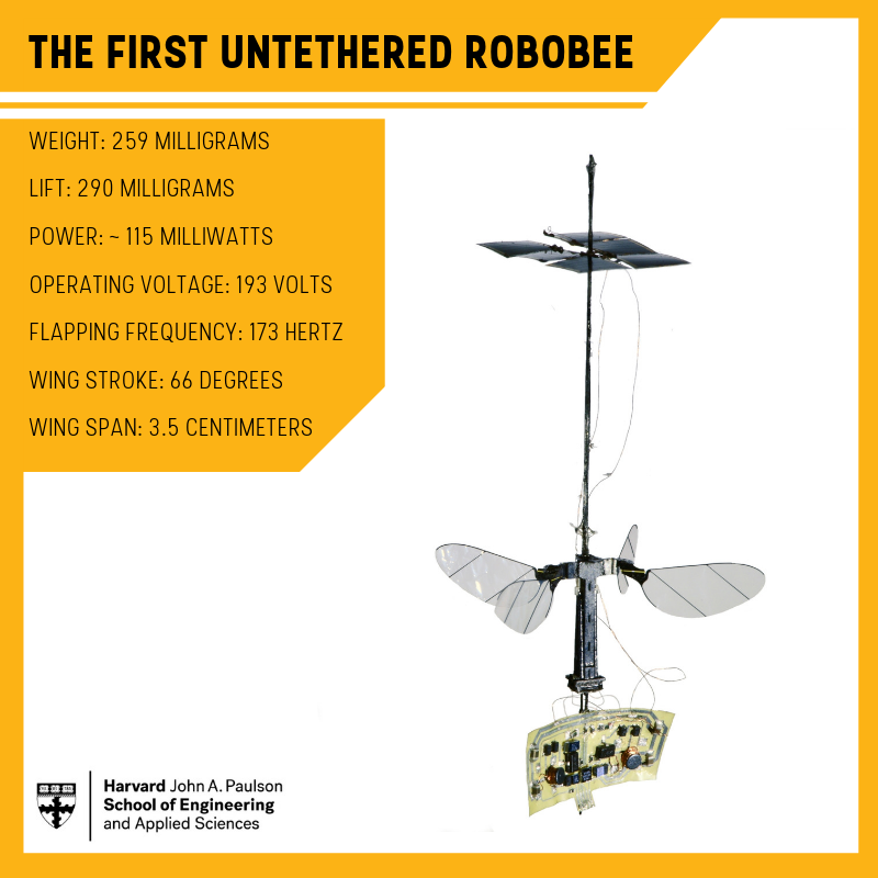 the-robobee