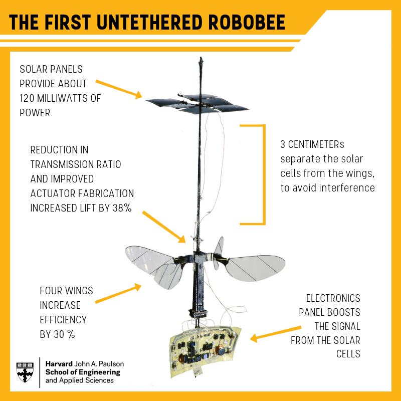 the-robobee