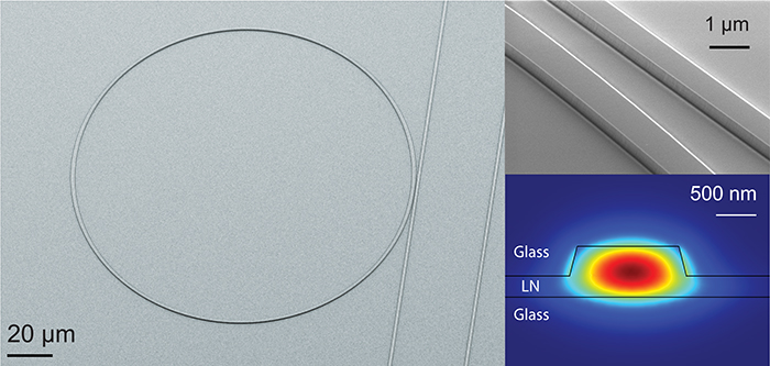 SEAS researchers have designed a micro-ring and micro-racetrack resonators made from lithium niobate, a material previously thought unworkable for high-quality, small scale optical devices (Image courtesy of the Loncar Lab/Harvard SEAS)