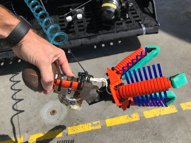 This fully 3D-printed version of the grippers includes “fingernails” on the ends of the fingers to help pick up organisms that are sitting on hard surfaces, as well as mesh extensions between the fingers to keep samples secure. Credit: Wyss Institute at Harvard University