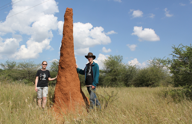 Termite mound