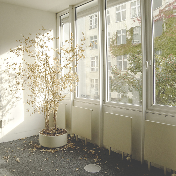 Tunable Windows For Privacy Camouflage Harvard John A Paulson Tunable Windows For Privacy Camouflage Harvard John A Paulson School Of Engineering And Applied Sciences