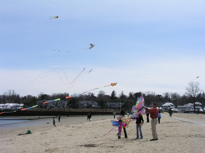 people on the beach flying kites