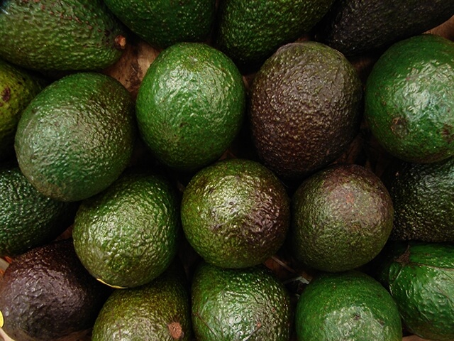 A display of avocados