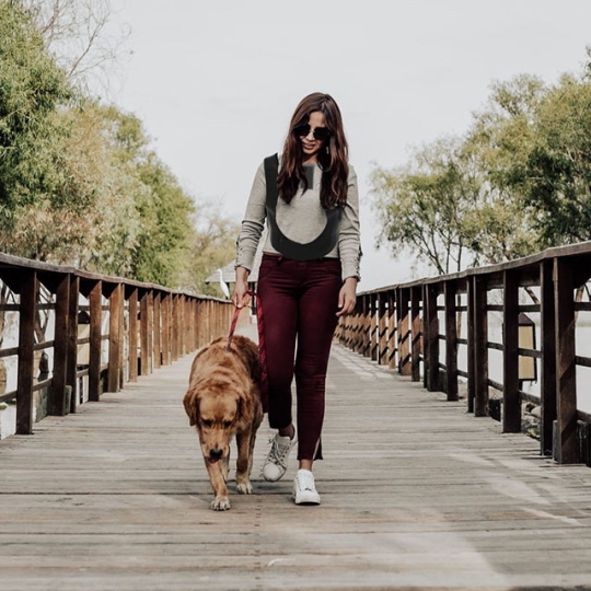 Foresight user mock up