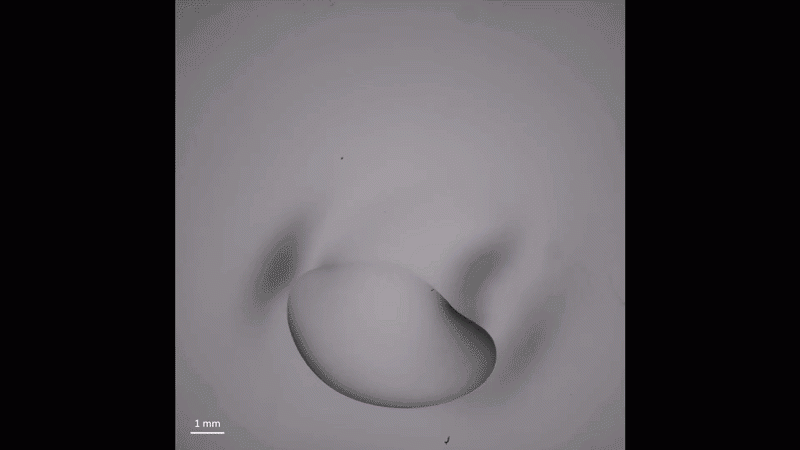 gif of droplet shrinking 