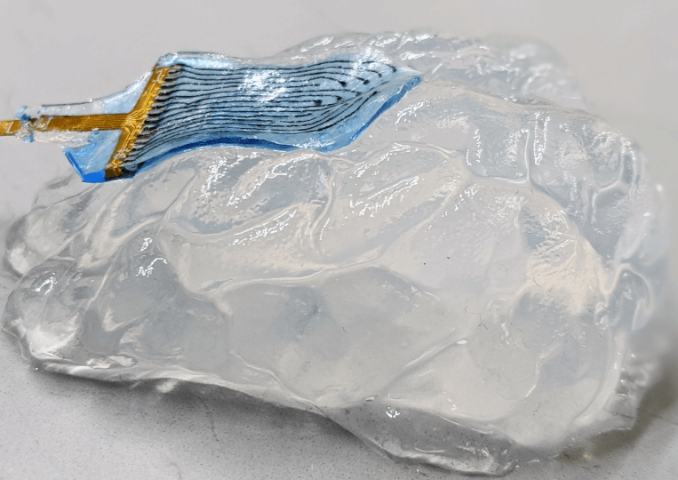 image of the hydrogel electrode 