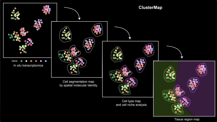 Overview of ClusterMap workflow