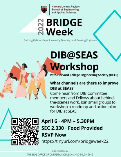 BRIDGE Week DIB Workshop Poster