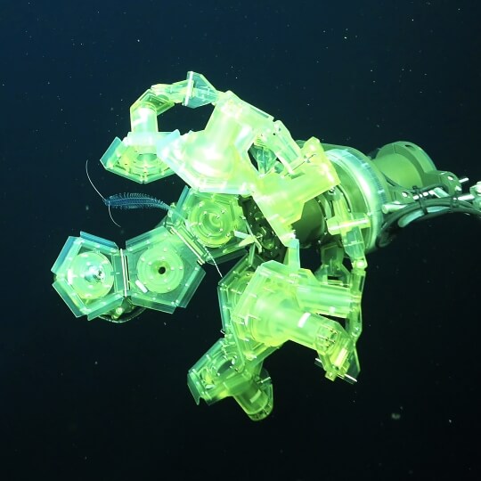 image of robot grasping a marine worm