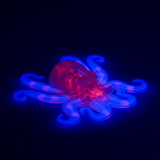 octobot harvard