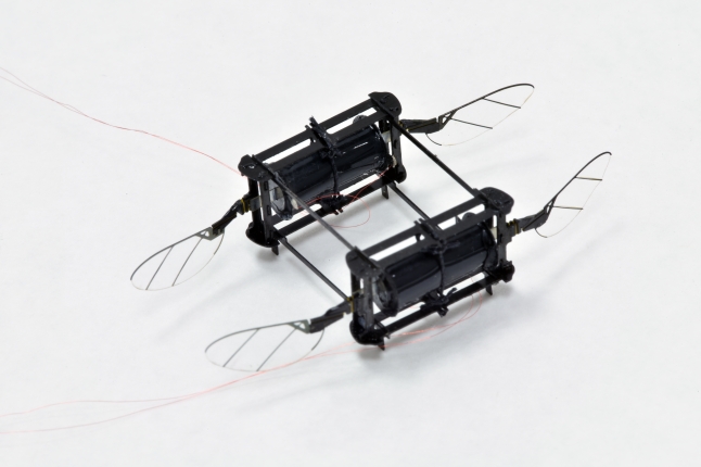 An image of a microrobot with four wings and two, soft actuators. 