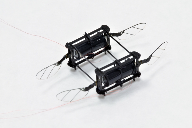 An image of a microrobot with four wings and two, soft actuators.