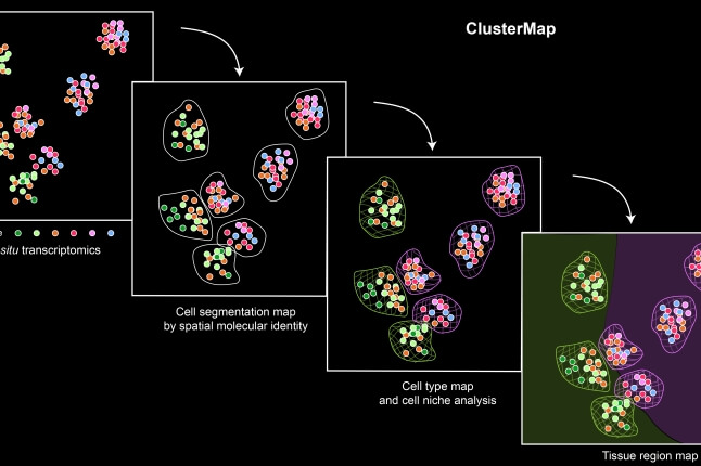 Overview of ClusterMap workflow