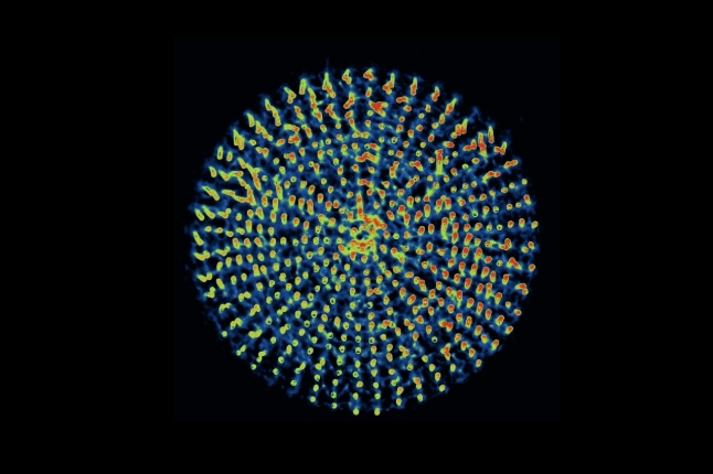 image of microstructures arranged in a circle and colorized 