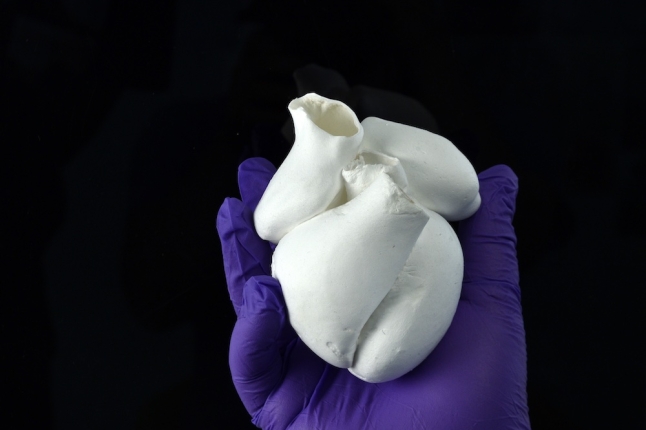 Full-scale four-chambered human heart model composed of single-micrometer fibers