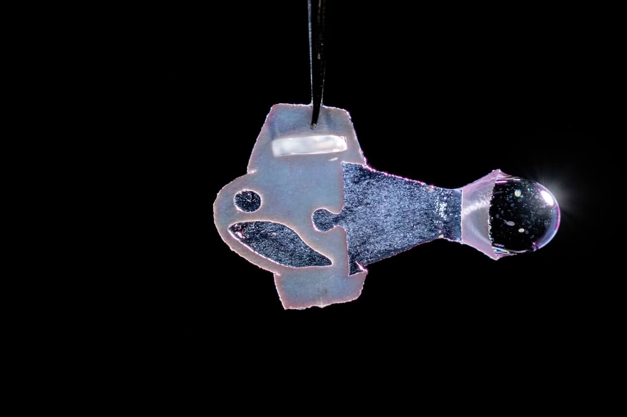 Gut coils with help from its elastic neighbor